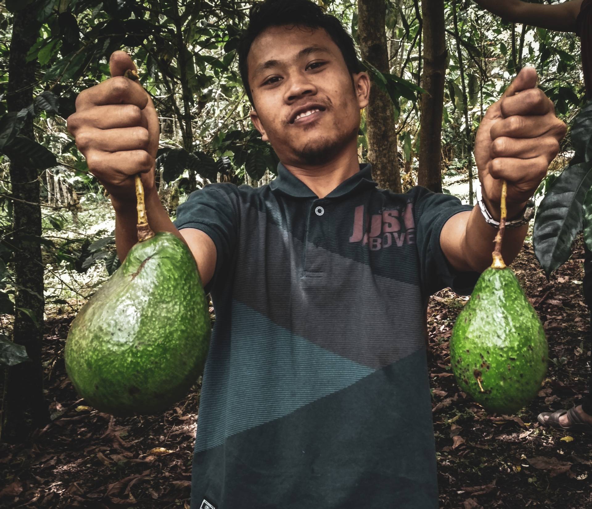 Kartele narkotykowe wykorzystują popyt na awokado, by czerpać zyski z uprawy awokado w Meksyku. Mężczyzna trzyma dwa owoce awokado i pozuje z nimi do aparatu.