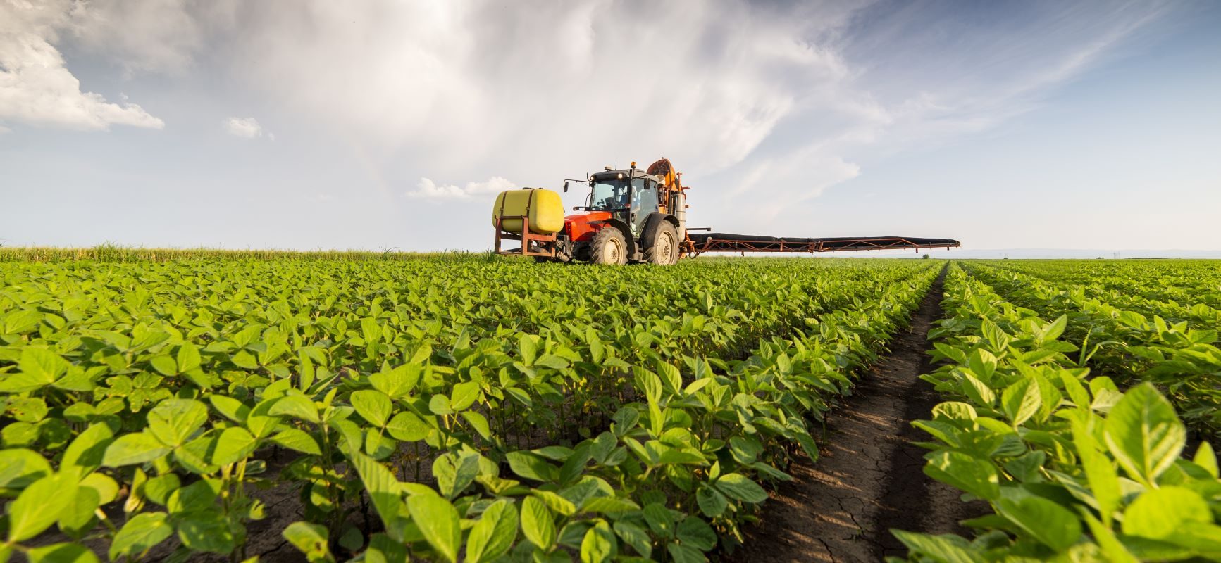 Czy polskie plony są toksyczne? Czy pestycyd chloropiryfos jest groźny dla zdrowia? Wyjaśnia dr inż. Maciej Tankiewicz z Zakładu Toksykologii Środowiska GUMed. Traktor na polu rozpyla pestycydy.