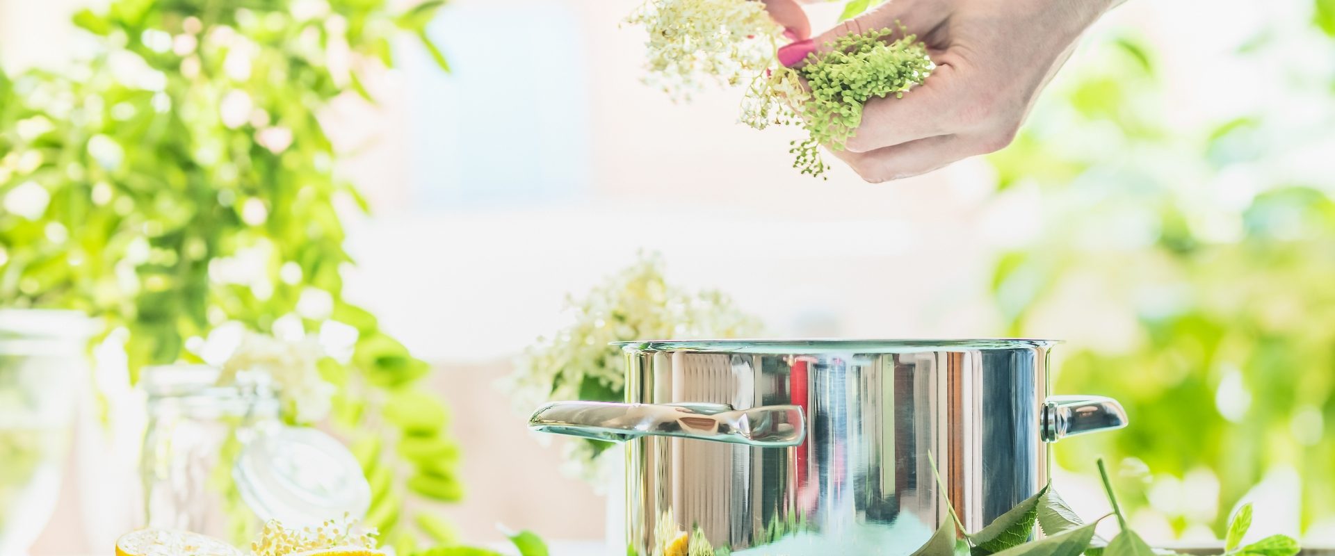 Przepisy na przetwory z czarnego bzu - kobieta wkłada do garnka kwiaty czarnego bzu i przygotowuje z nich przetwory.