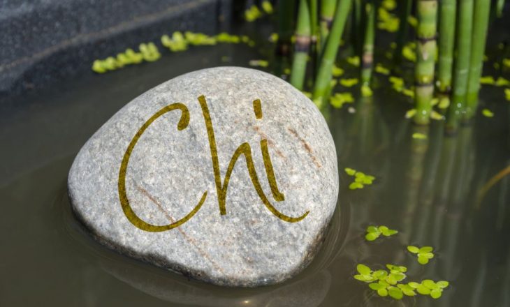 qi