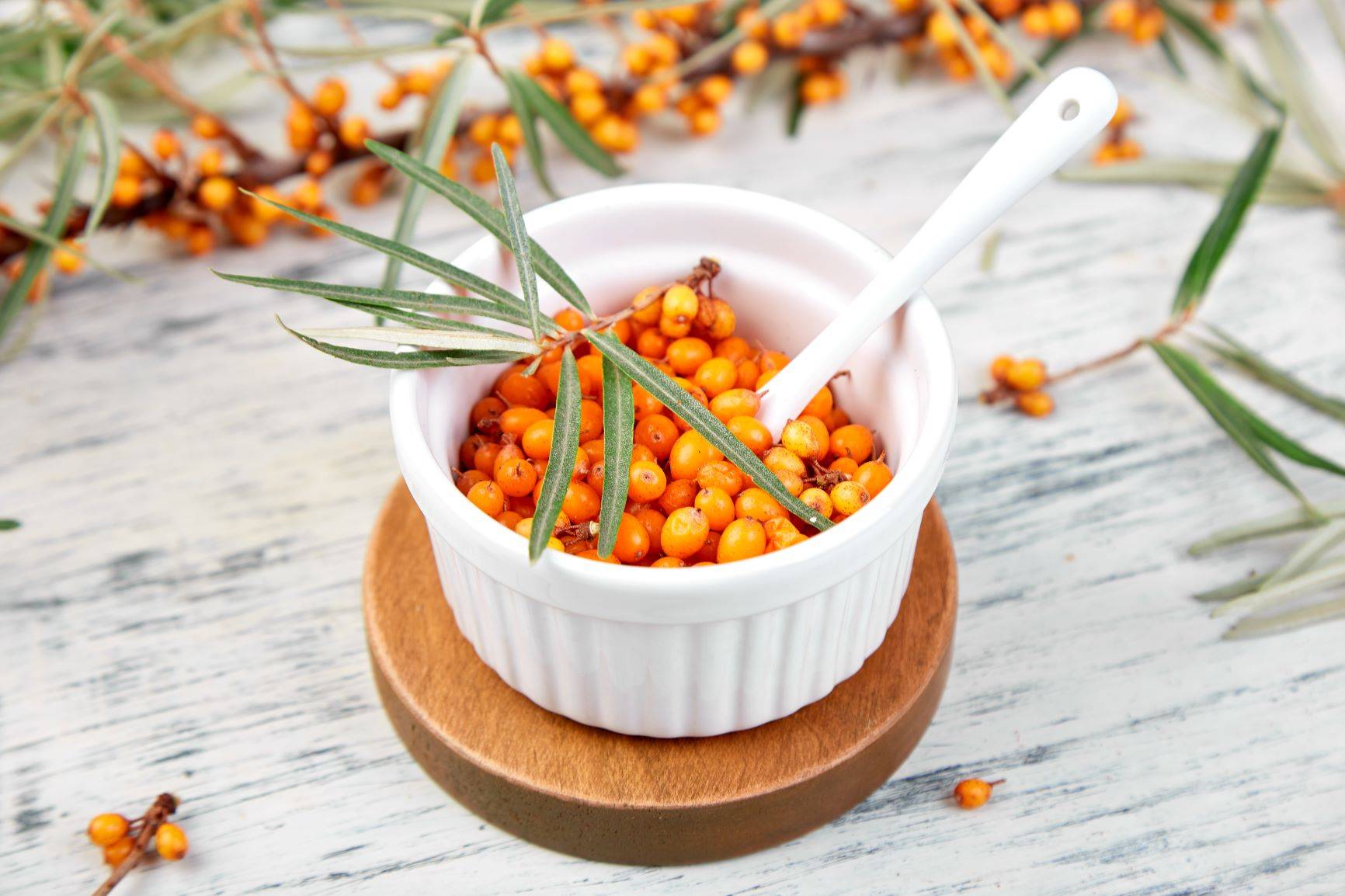 Domowe kosmetyki DIY z rokitnikiem. Owoce rokitnika w białej miseczce.