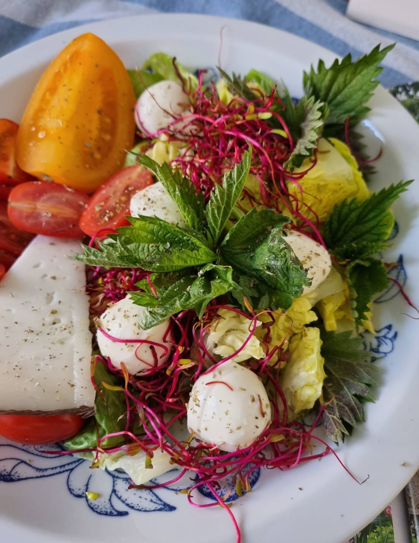 Wiosenna sałatka z pokrzywowym winegretem - przepisy na chwasty Agnieszki Żelazko.