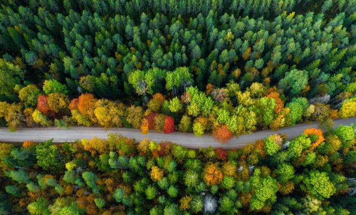 Leave No Trace - jak zminimalizować ślad węglowy?