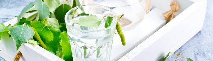 Sok z brzozy - właściwośći lecznicze i zastosowanie. Sok brzozowy na wiosenne przesilenie w szklance i dzbanku na białej drewnianej tacce.