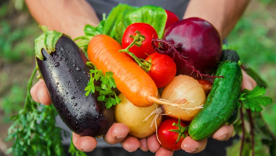 Warzywnik w ogrodzie - jak go założyć? Mężczyzna trzyma w rękach własnoręcznie wyhodowane ekologiczne warzywa - marchewkę, ogórka, pomidory, bakłażana, rzodkiewkę.