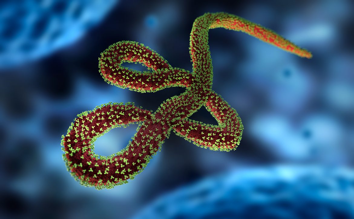 Wirus Ebola - czy zagraża nam kolejna pandemia?