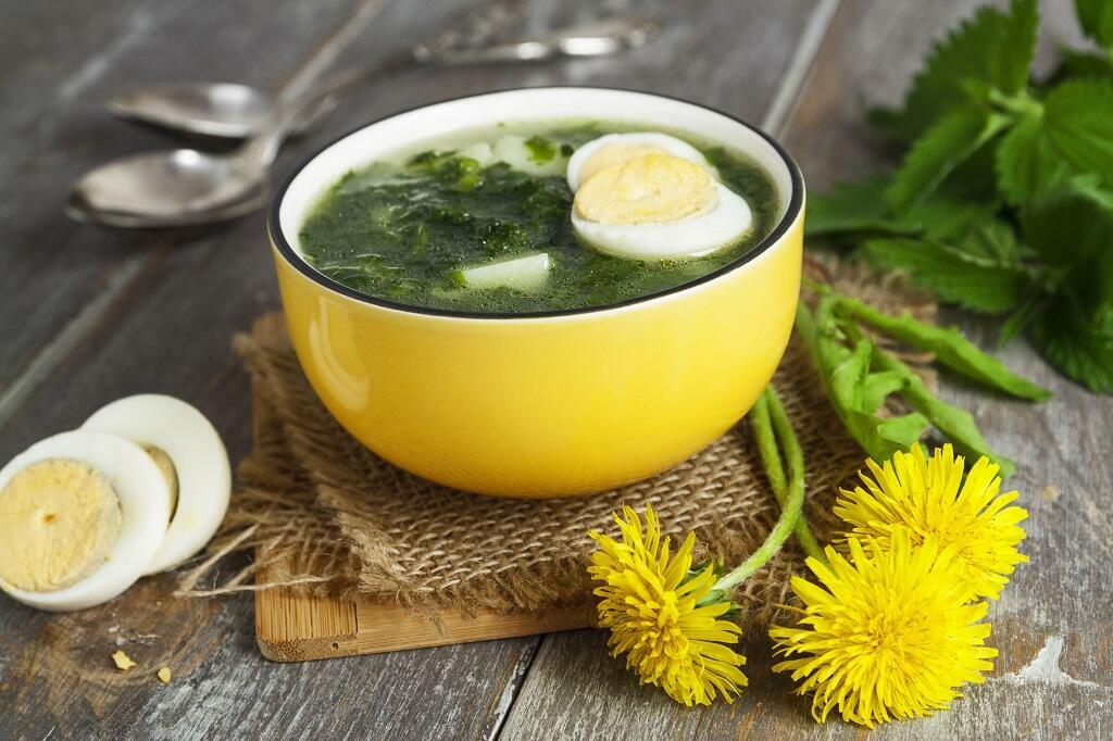 zupa z mniszka lekarskiego