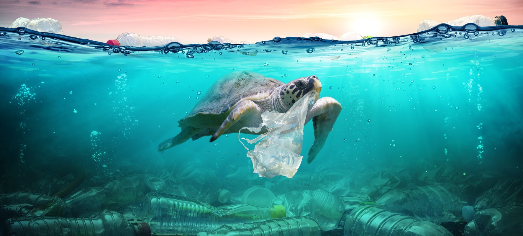 Zero waste - jak zużywać mniej plastiku? Żółw w oceanie chwyta pyszczkiem plastikową torebkę.