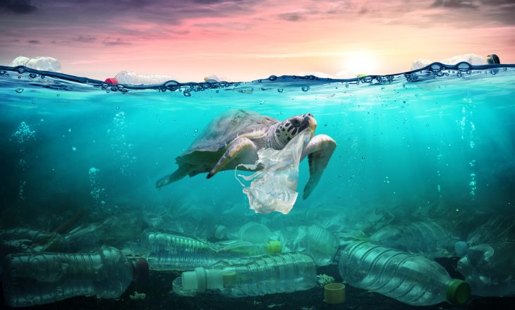 Zero waste - jak zużywać mniej plastiku?