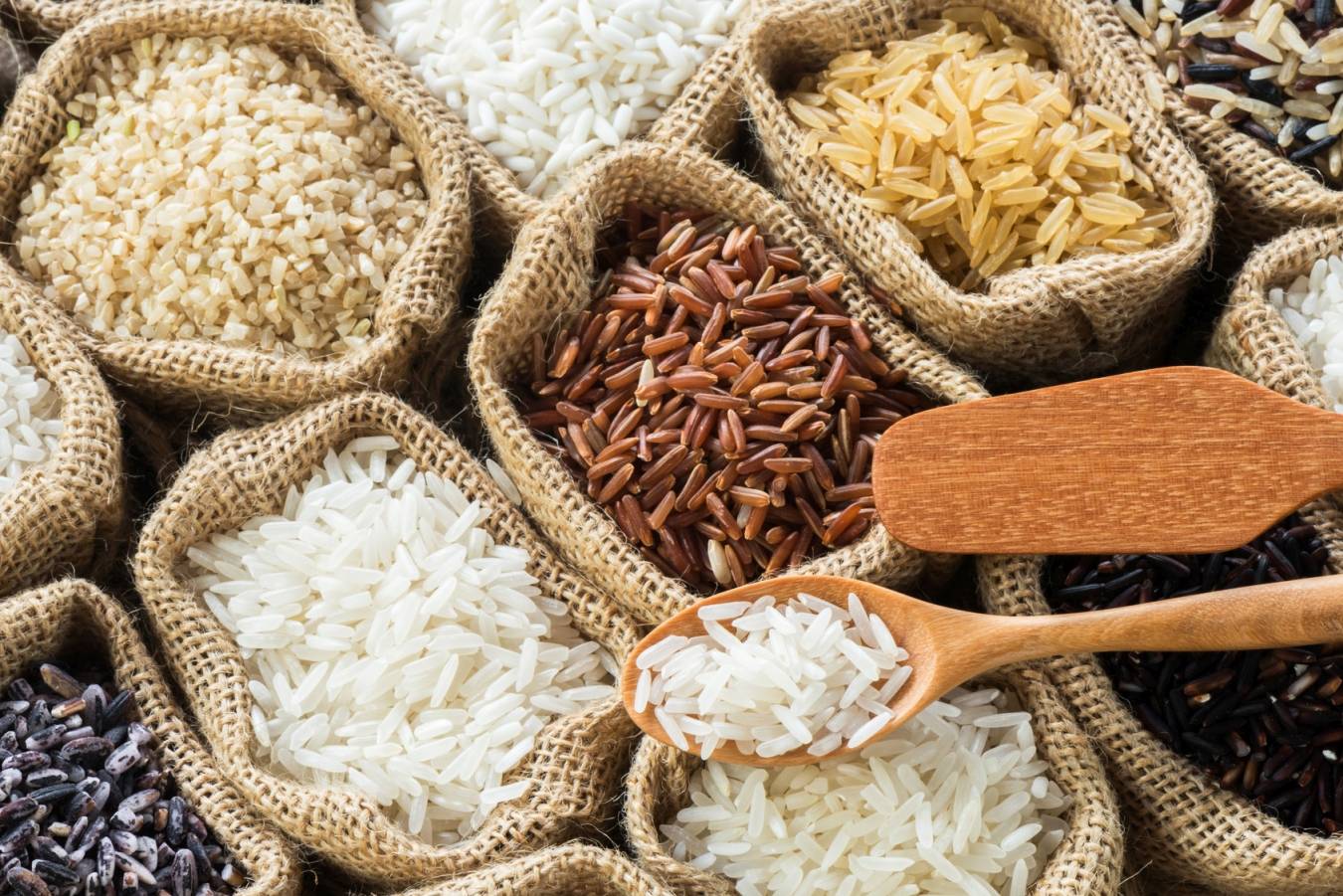 Aflatoksyny w pożywieniu - trująca żywność. Toksyczne ziarenka importowanego ryżu.