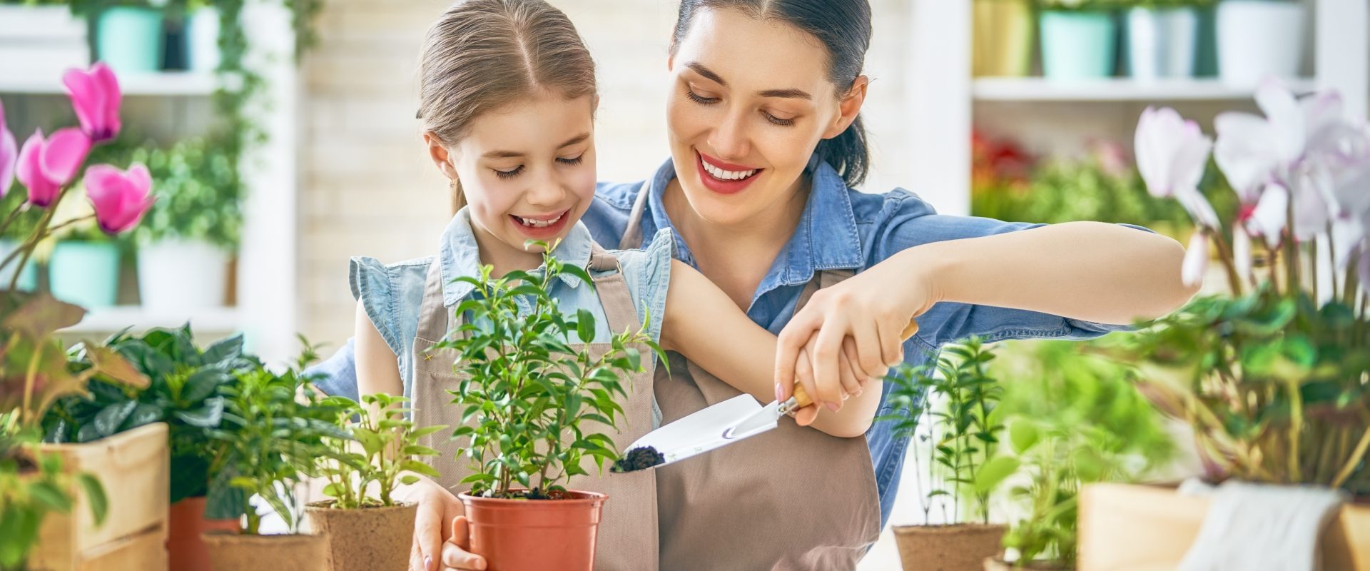 Zioła na balkonie - jakie posadzić?